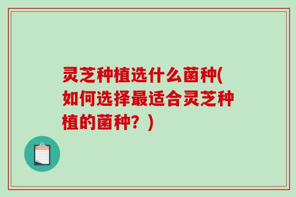 灵芝种植选什么菌种(如何选择最适合灵芝种植的菌种？)