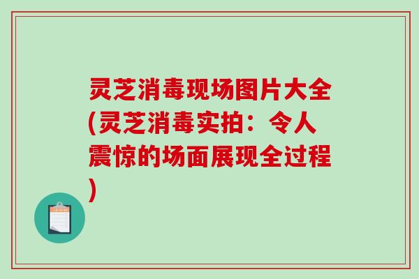 灵芝消毒现场图片大全(灵芝消毒实拍：令人震惊的场面展现全过程)