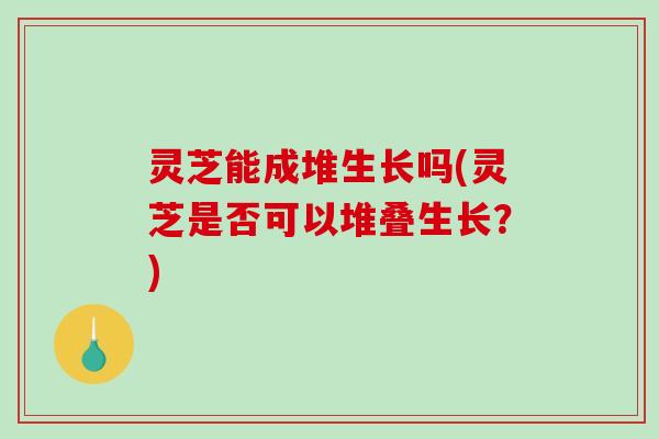 灵芝能成堆生长吗(灵芝是否可以堆叠生长？)