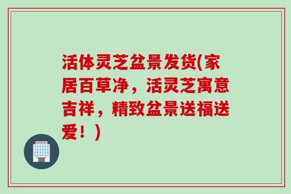 活体灵芝盆景发货(家居百草净，活灵芝寓意吉祥，精致盆景送福送爱！)
