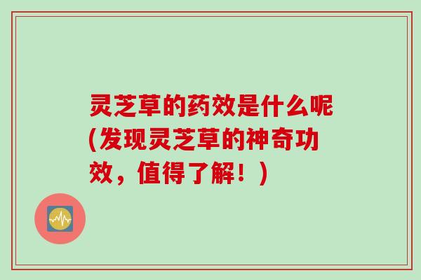 灵芝草的药效是什么呢(发现灵芝草的神奇功效，值得了解！)