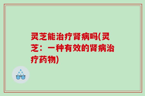 灵芝能治疗肾病吗(灵芝：一种有效的肾病治疗药物)