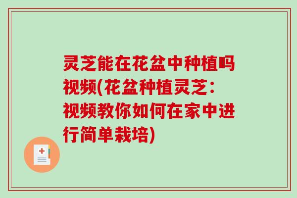 灵芝能在花盆中种植吗视频(花盆种植灵芝：视频教你如何在家中进行简单栽培)