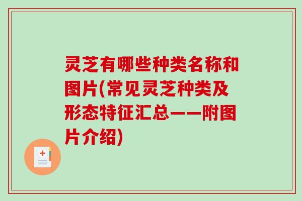 灵芝有哪些种类名称和图片(常见灵芝种类及形态特征汇总——附图片介绍)