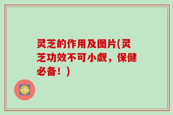 灵芝的作用及图片(灵芝功效不可小觑，保健必备！)