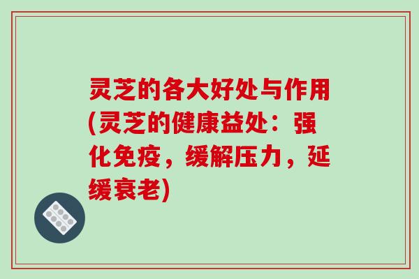 灵芝的各大好处与作用(灵芝的健康益处：强化免疫，缓解压力，延缓衰老)