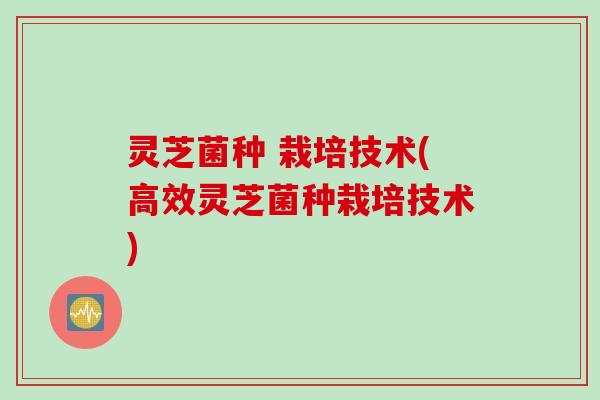 灵芝菌种 栽培技术(高效灵芝菌种栽培技术)