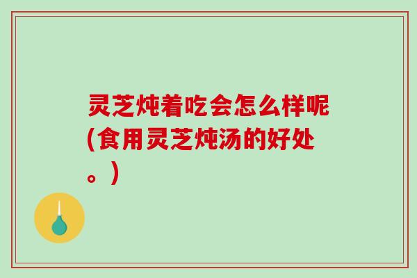 灵芝炖着吃会怎么样呢(食用灵芝炖汤的好处。)