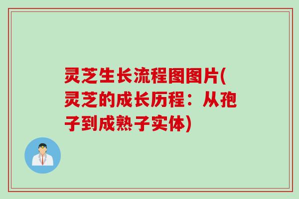 灵芝生长流程图图片(灵芝的成长历程:从孢子到成熟子实体) 灵芝生长流程图图片(灵芝的成长历程:从孢子到成熟子实体)