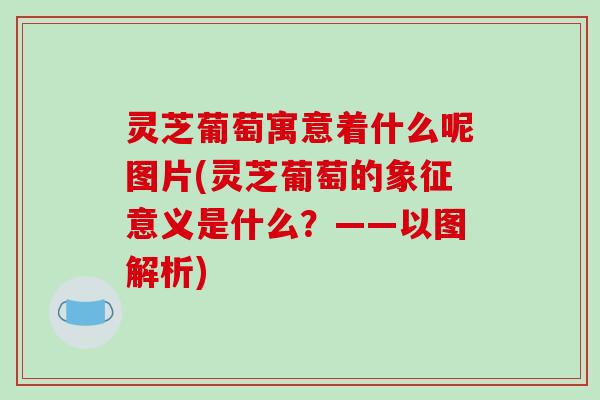 灵芝葡萄寓意着什么呢图片(灵芝葡萄的象征意义是什么？——以图解析)