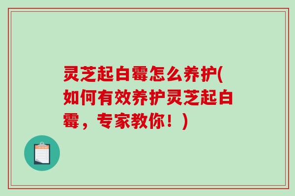 灵芝起白霉怎么养护(如何有效养护灵芝起白霉，专家教你！)