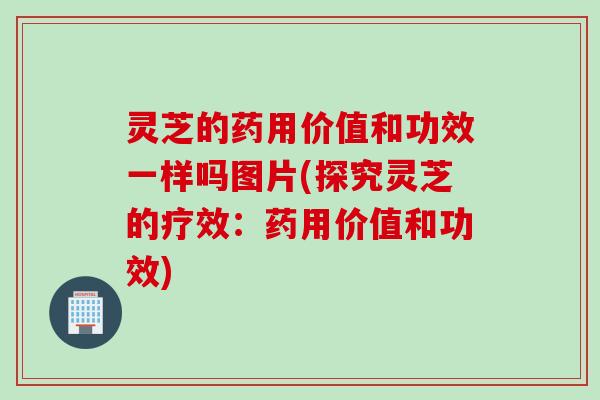 灵芝的药用价值和功效一样吗图片(探究灵芝的疗效：药用价值和功效)