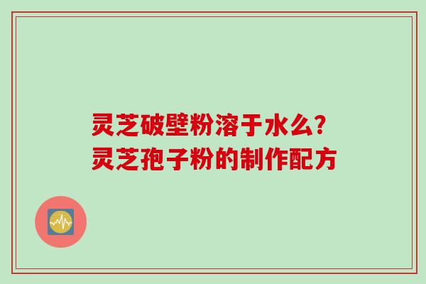 灵芝破壁粉溶于水么？灵芝孢子粉的制作配方