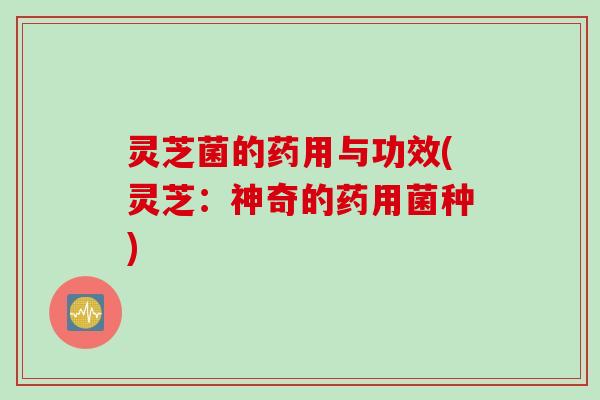 灵芝菌的药用与功效(灵芝：神奇的药用菌种)