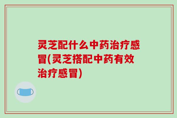 灵芝配什么中药治疗感冒(灵芝搭配中药有效治疗感冒)