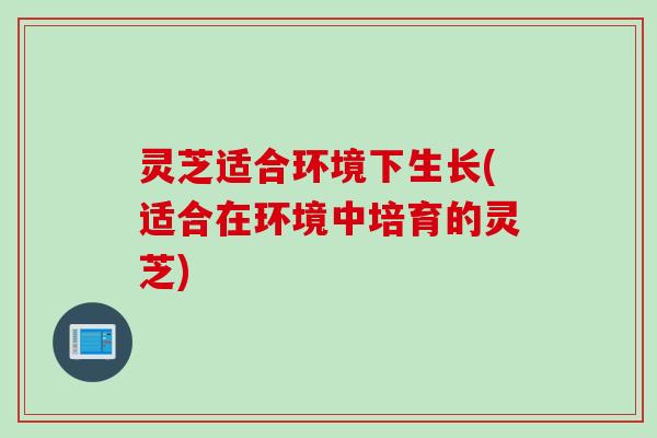 灵芝适合环境下生长(适合在环境中培育的灵芝)