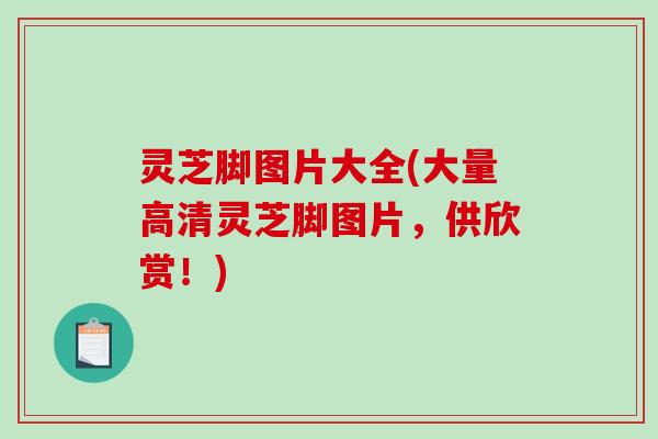 灵芝脚图片大全(大量高清灵芝脚图片，供欣赏！)