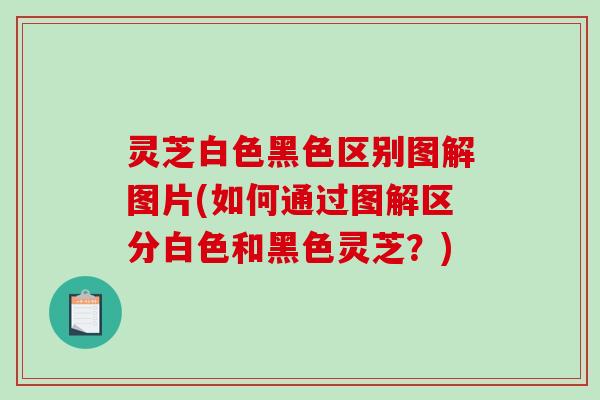 灵芝白色黑色区别图解图片(如何通过图解区分白色和黑色灵芝？)