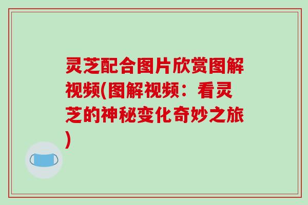 灵芝配合图片欣赏图解视频(图解视频：看灵芝的神秘变化奇妙之旅)
