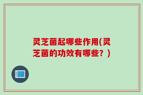 灵芝菌起哪些作用(灵芝菌的功效有哪些？)