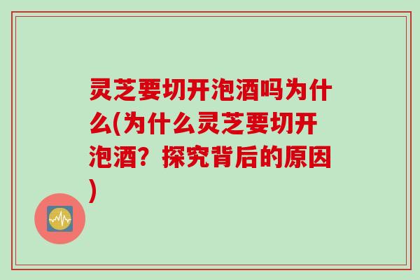 灵芝要切开泡酒吗为什么(为什么灵芝要切开泡酒？探究背后的原因)