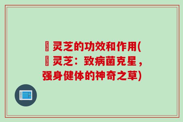 焄灵芝的功效和作用(焄灵芝：致病菌克星，强身健体的神奇之草)