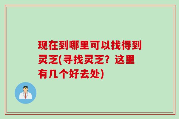 现在到哪里可以找得到灵芝(寻找灵芝？这里有几个好去处)
