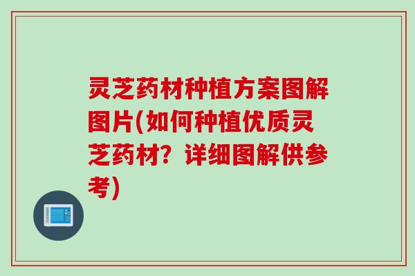 灵芝药材种植方案图解图片(如何种植优质灵芝药材？详细图解供参考)