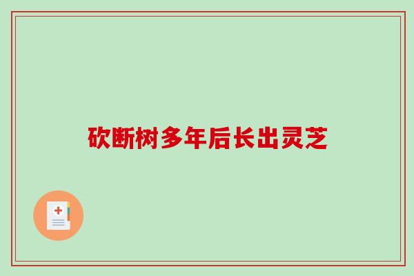 砍断树多年后长出灵芝