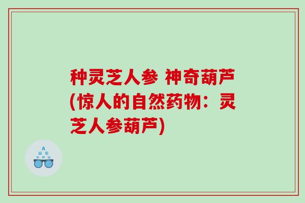 种灵芝人参 神奇葫芦(惊人的自然药物：灵芝人参葫芦)