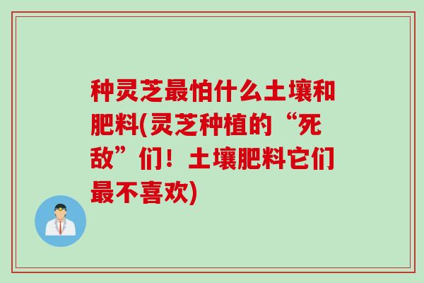 种灵芝最怕什么土壤和肥料(灵芝种植的“死敌”们！土壤肥料它们最不喜欢)