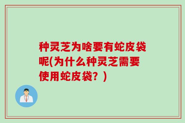 种灵芝为啥要有蛇皮袋呢(为什么种灵芝需要使用蛇皮袋？)