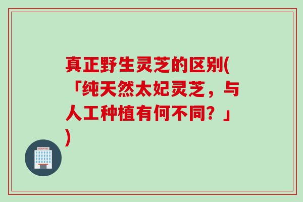 真正野生灵芝的区别(「纯天然太妃灵芝，与人工种植有何不同？」)