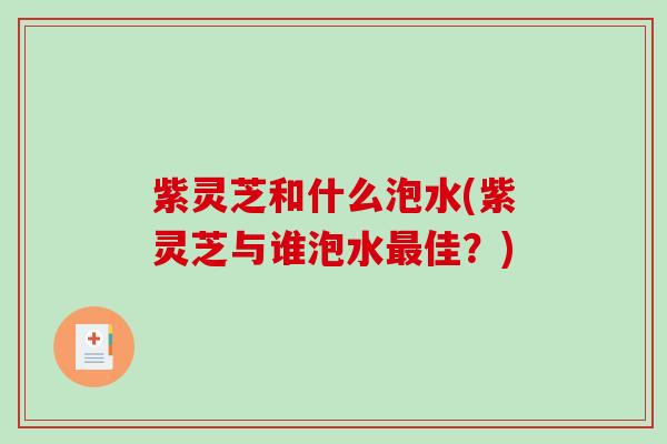紫灵芝和什么泡水(紫灵芝与谁泡水最佳？)