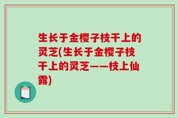 生长于金樱子枝干上的灵芝(生长于金樱子枝干上的灵芝——枝上仙露)