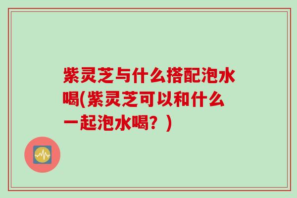 紫灵芝与什么搭配泡水喝(紫灵芝可以和什么一起泡水喝？)