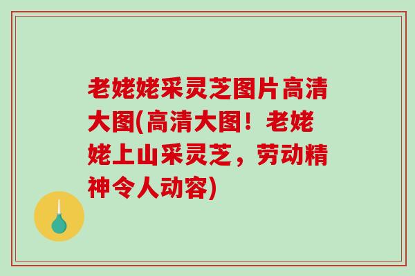 老姥姥采灵芝图片高清大图(高清大图！老姥姥上山采灵芝，劳动精神令人动容)