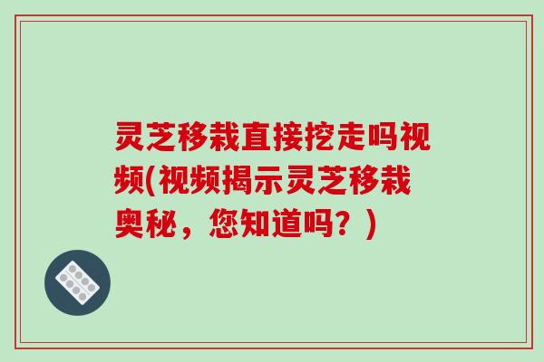 灵芝移栽直接挖走吗视频(视频揭示灵芝移栽奥秘，您知道吗？)