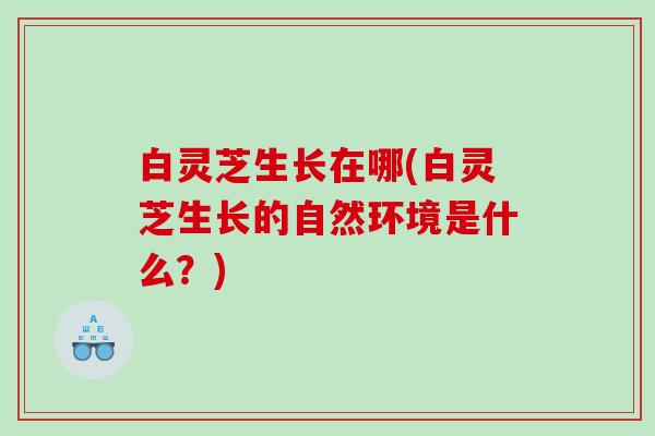 白灵芝生长在哪(白灵芝生长的自然环境是什么？)