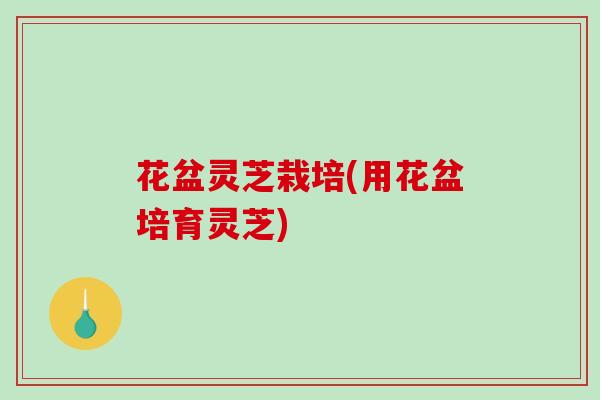花盆灵芝栽培(用花盆培育灵芝)
