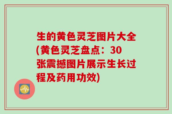 生的黄色灵芝图片大全(黄色灵芝盘点：30张震撼图片展示生长过程及药用功效)