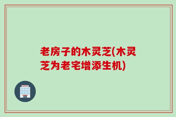 老房子的木灵芝(木灵芝为老宅增添生机)