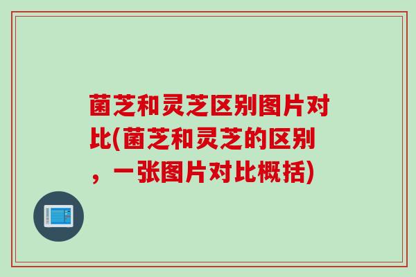 菌芝和灵芝区别图片对比(菌芝和灵芝的区别，一张图片对比概括)