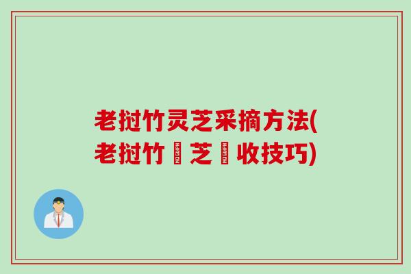 老挝竹灵芝采摘方法(老挝竹靈芝採收技巧)