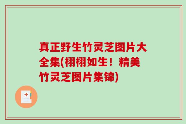 真正野生竹灵芝图片大全集(栩栩如生！精美竹灵芝图片集锦)
