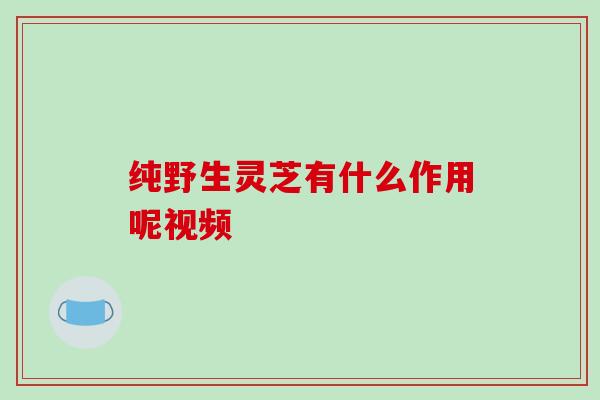 纯野生灵芝有什么作用呢视频