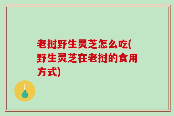 老挝野生灵芝怎么吃(野生灵芝在老挝的食用方式)