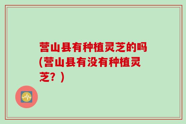 营山县有种植灵芝的吗(营山县有没有种植灵芝？)