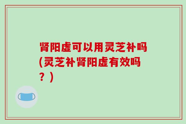 肾阳虚可以用灵芝补吗(灵芝补肾阳虚有效吗？)