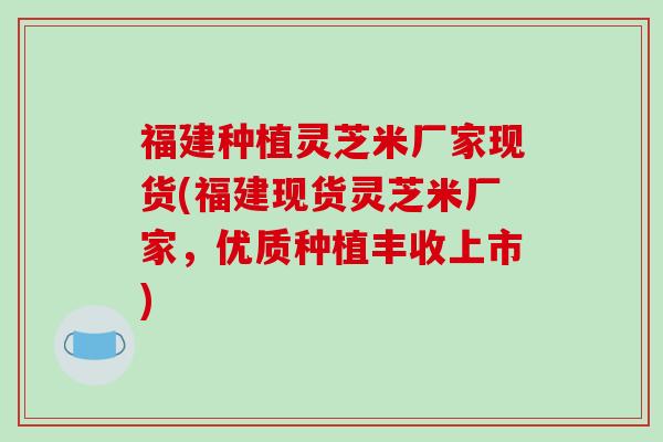 福建种植灵芝米厂家现货(福建现货灵芝米厂家，优质种植丰收上市)
